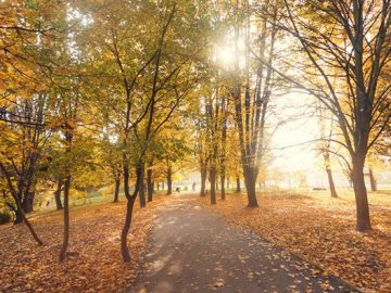 Де у Луцьку та районі можна зробити круті осінні фото: ТОП локацій