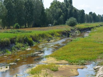 У волинському селі річка Прип'ять перетворилася на болото. ФОТО