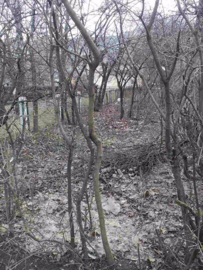 Муніципали штрафували лучан за сміття