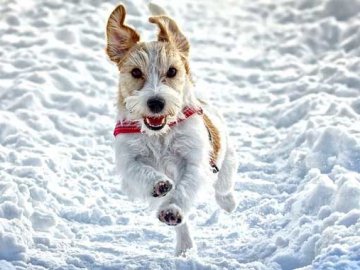 Погода у Луцьку на завтра, 17 грудня