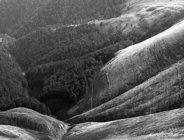 Фотовиставка Тараса Цибуха