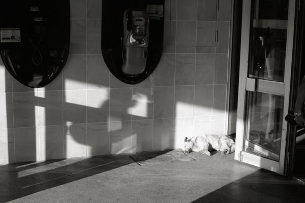 Фотовиставка Тараса Цибуха