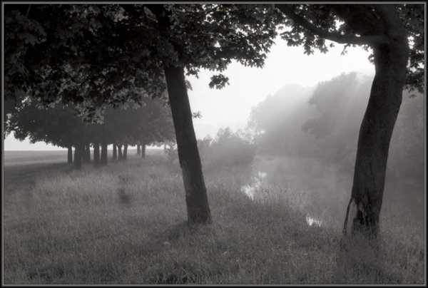 Фотовиставка Тараса Цибуха