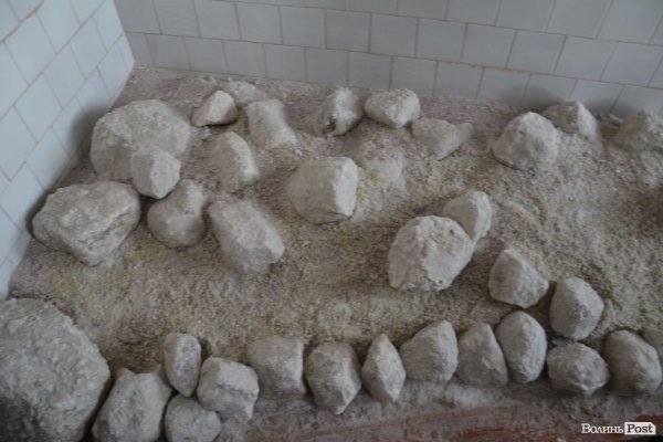 Волинські депутати навідалися у «проблемний» санаторій «Турія». ФОТО