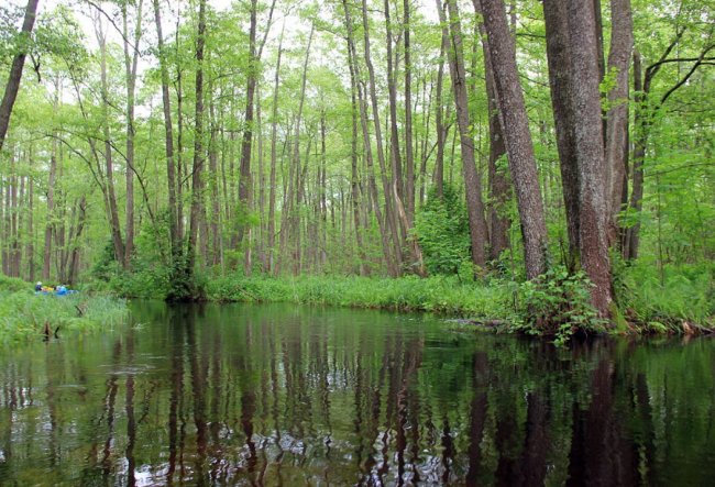 Волинський фотограф показав красу «високої води» річки Стохід. ФОТО