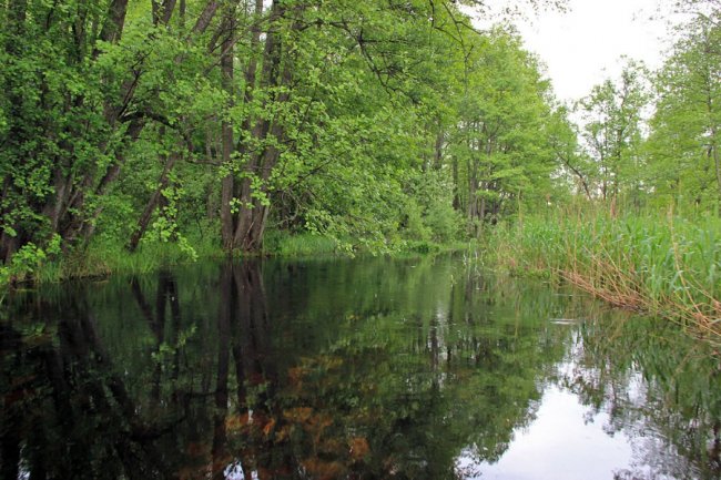 Волинський фотограф показав красу «високої води» річки Стохід. ФОТО