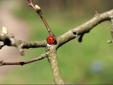 Антициклон в Україні: синоптики розповіли про погоду у найближчі дні