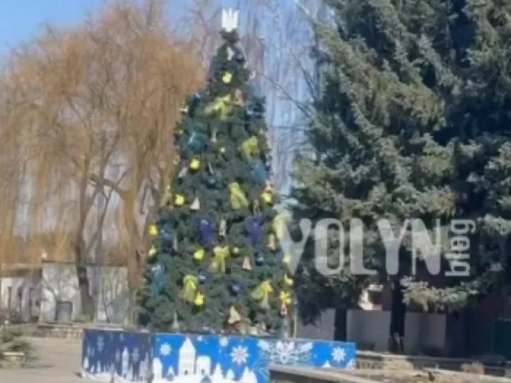 На Волині міська новорічна ялинка простояла до весни