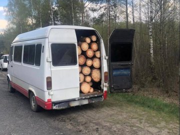 На Волині затримали вантажівку «напаковану» краденими колодами. ФОТО