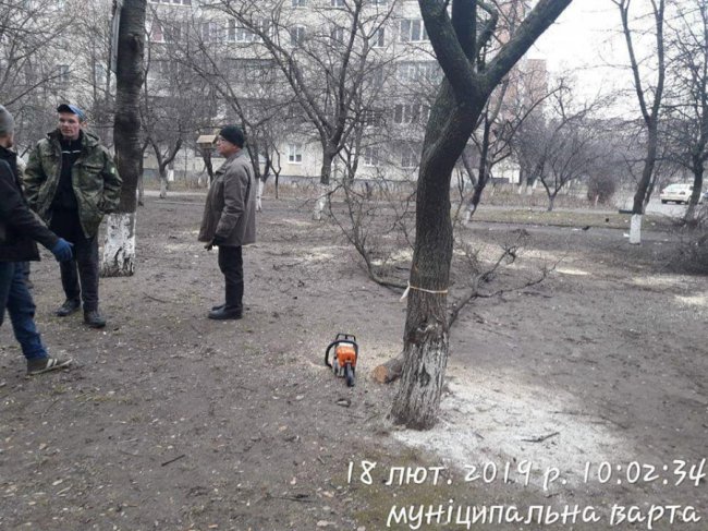 У Луцьку зловили комунальників, які без дозволів зрізали дерева