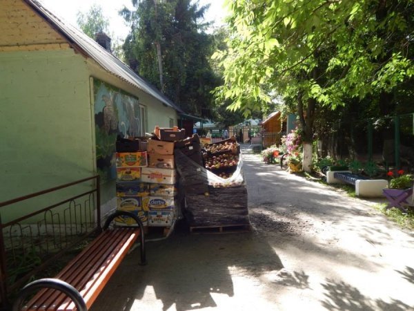 Благодійник подарував луцькому зоопарку дві тонни яблук