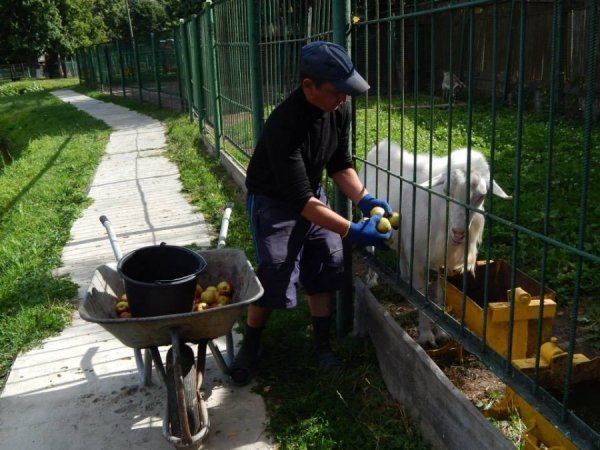 Благодійник подарував луцькому зоопарку дві тонни яблук