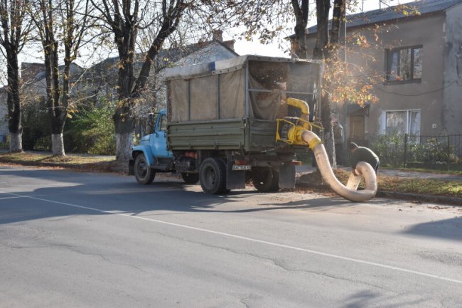 Комунальники Луцька придумали, як боротися з опалим листям на вулицях міста