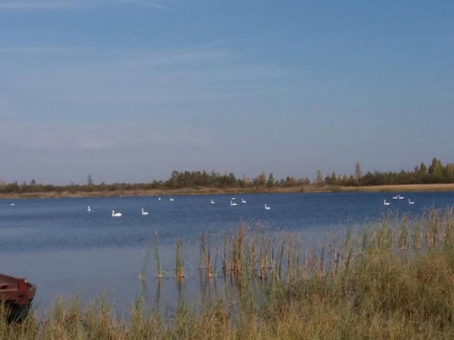 Краса і спокій осіннього Світязя. ФОТО