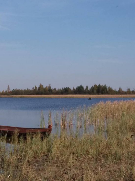 Краса і спокій осіннього Світязя. ФОТО