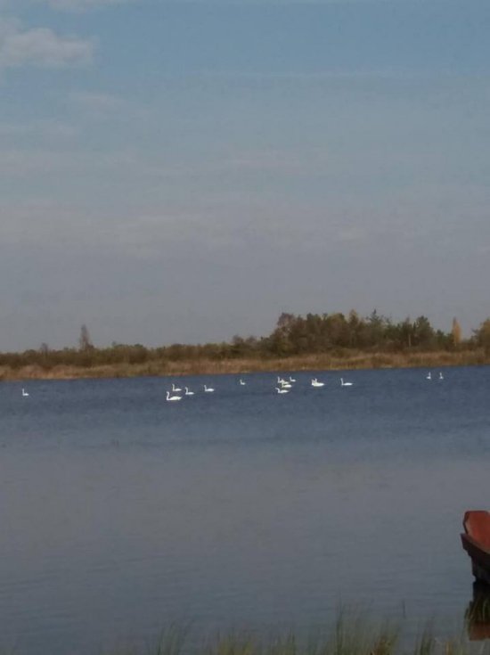 Краса і спокій осіннього Світязя. ФОТО