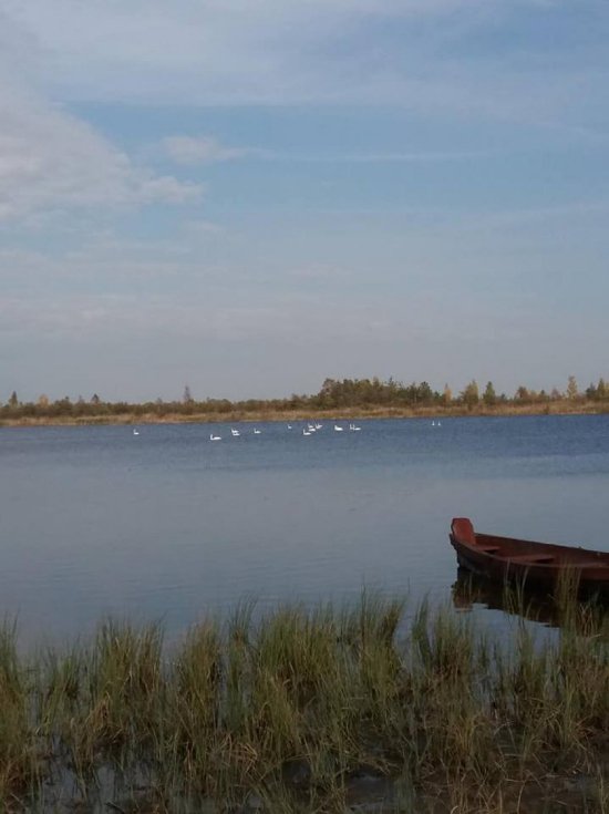 Краса і спокій осіннього Світязя. ФОТО