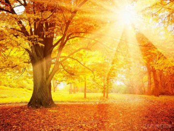 Ідеальна пора: синонтик уточнила прогноз погоди в Україні