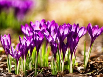 Погода в Луцьку та Волинській області на середу, 4 квітня