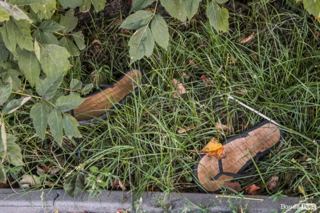Безіменна вулиця і неназваний ставок: чим особливий неквапливий Вишків. ФОТО