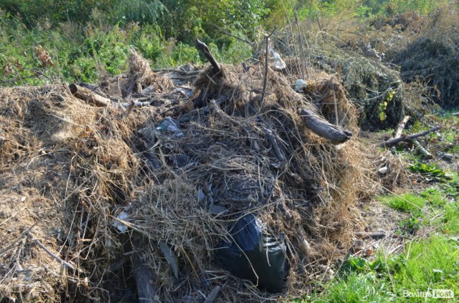 Дихати неможливо: лучани скаржаться на сміття та паліїв у центральному парку