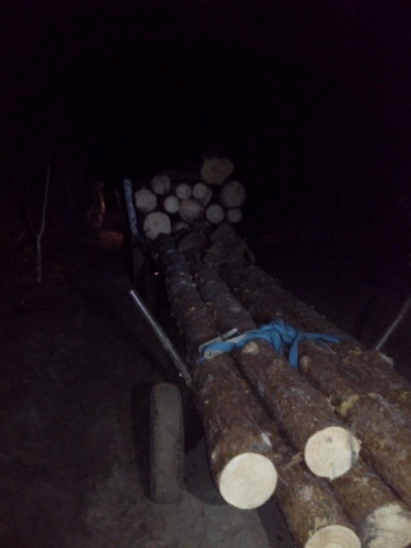 На Рівненщині  затримали крадіїв лісу