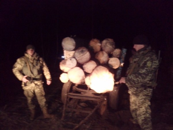 На Рівненщині  затримали крадіїв лісу
