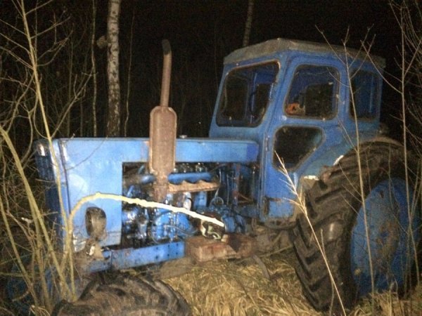 На Рівненщині  затримали крадіїв лісу