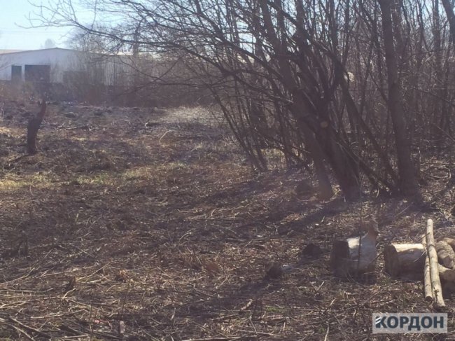 Волинянин через необережність з цигарками спалив хлів із дровами