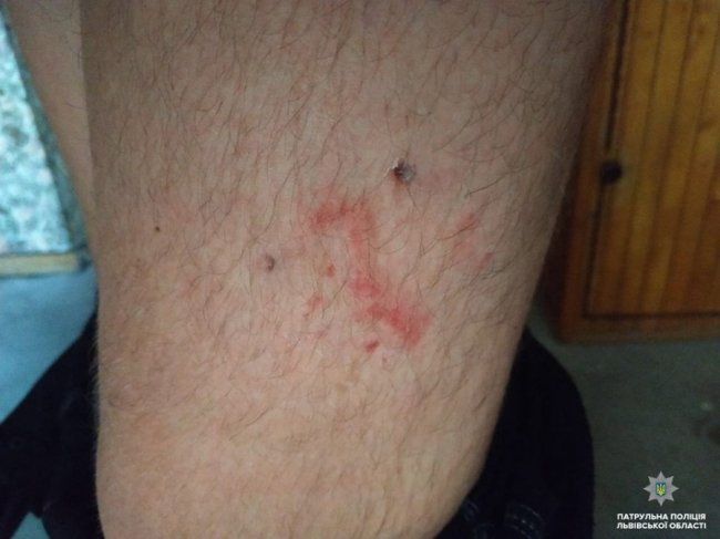 Львівські пристрасті: крадія з Луцька знайшли у шафі жінки, яка заявила про зґвалтування. ФОТО