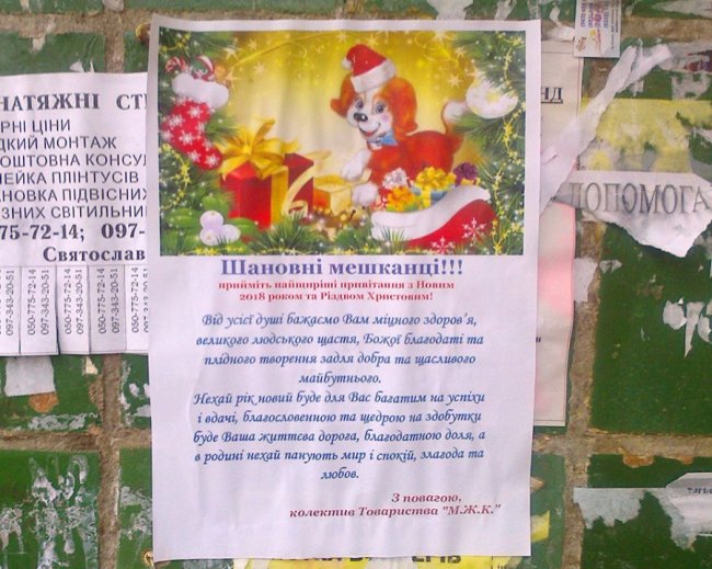 Неприємний ранок у Луцьку: купа невивезеного сміття 