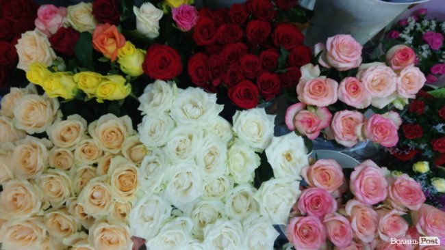 «Квітковий бум» на перший дзвоник: ціни в Луцьку. ФОТО
