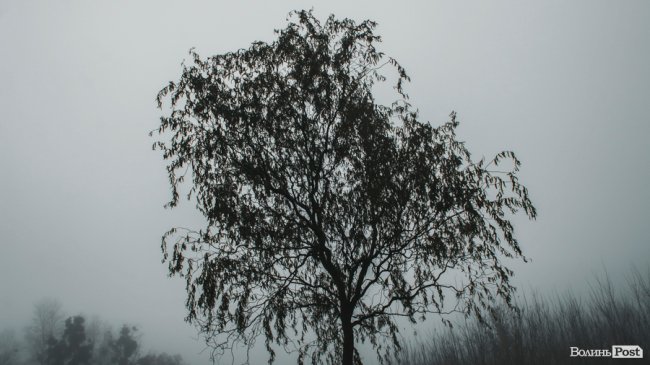 Туманний Луцьк: неймовірні фото 