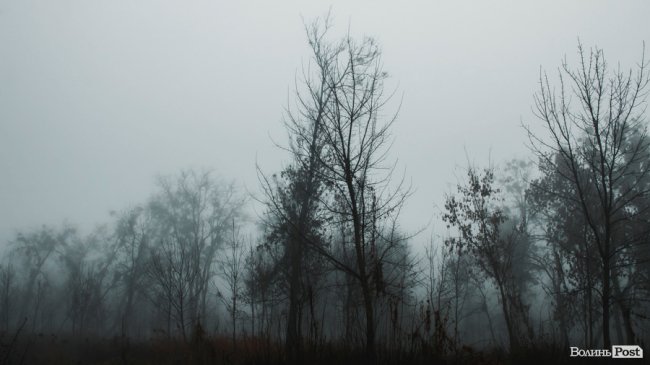Туманний Луцьк: неймовірні фото 