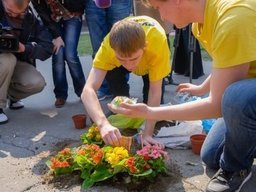 У Києві в ями на дорогах садили квіти. ФОТО