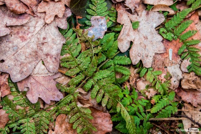 Перший день весни у «волинській Швейцарії». ФОТОРЕПОРТАЖ