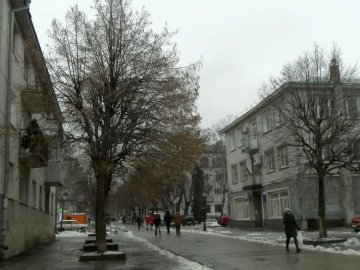 У центральній частині Луцька почали кронувати дерева. ВІДЕО