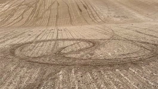 Гонки на полі: на Волині підлітки на мотоциклах понівечили три гектари посівів буряків. ФОТО