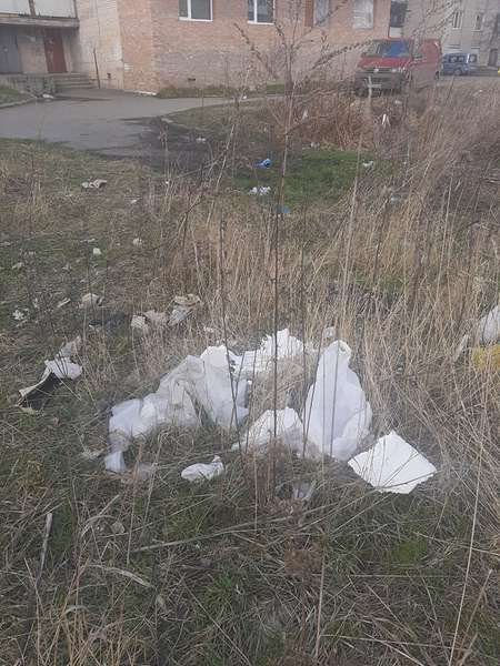 Луцька школярка запустила екологічний челендж. ФОТО