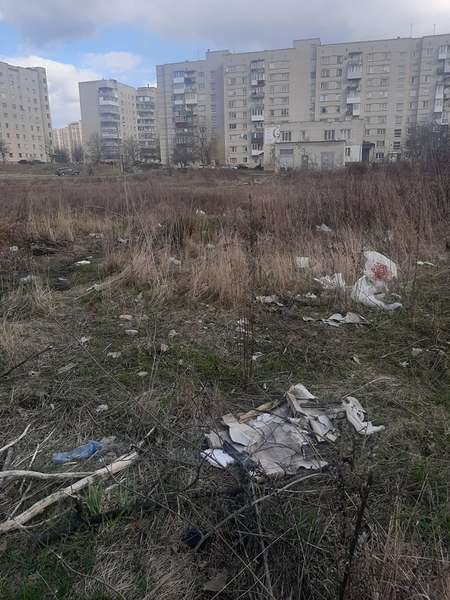 Луцька школярка запустила екологічний челендж. ФОТО