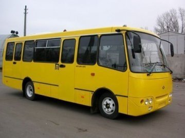 Дачники вп'яте просять ОДА виділити додаткові маршрути до садівничих товариств поблизу Луцька