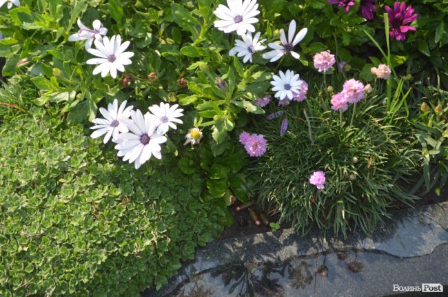 «Він завжди казав, що прикриє», –  «айдарівці» про загиблого побратима