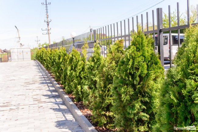 Здача нового будинку і озеленення території: затишне і сучасне житло у ЖК «Західний Олімп» під Луцьком*