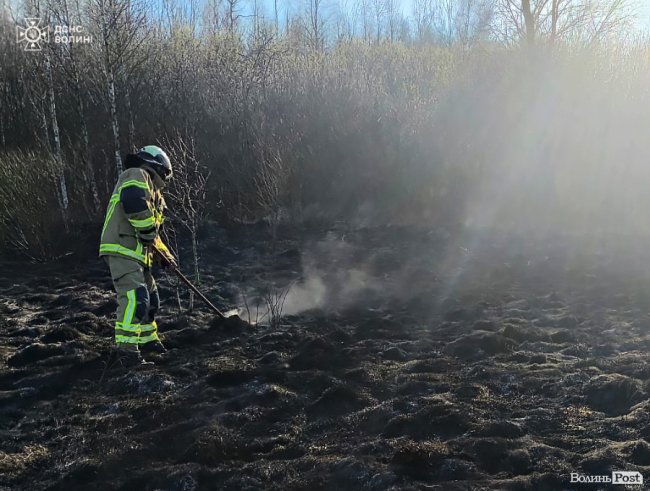 За минулу добу волиняни  влаштували сім пожеж, спалюючи сухостій
