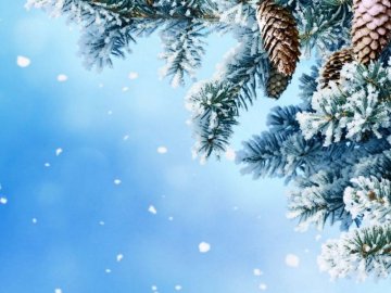 Погода у Луцьку та Волинській області на завтра, 30 грудня