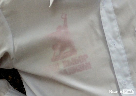 «Моно-пікет» у Луцьку. ФОТО