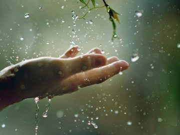 Погода в Луцьку та Волинській області на п’ятницю, 6 липня