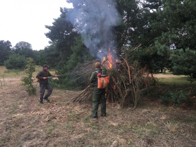 Волинські лісівники та рятувальники тренувалися гасити лісові пожежі. ФОТО