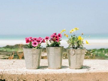 Добрі новини від ВолиньPost за 21 серпня 