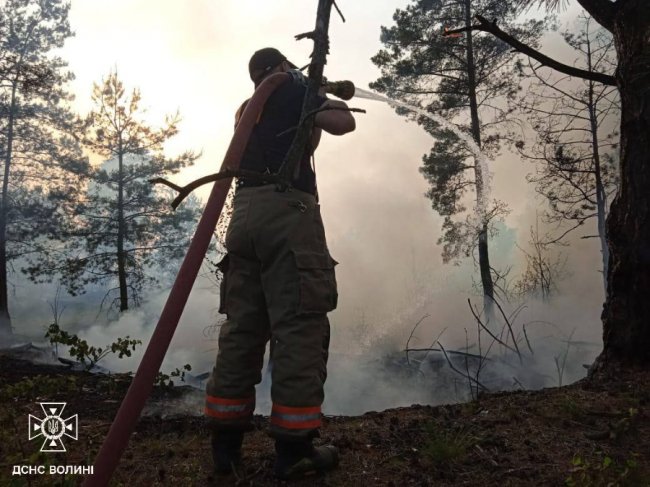 На Волині горіли два сміттєзвалища